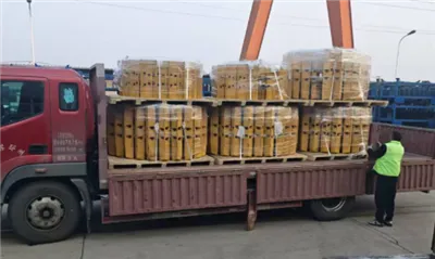 【Flash News STONE】 Comhpháirt Focharranna Móra D65 Comhthionól Rian Seolta go rathúil!